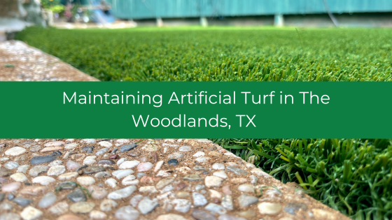 Maintaining Artificial Turf