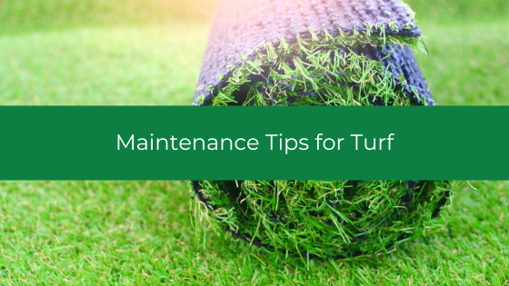 Maintenance Tips for Turf